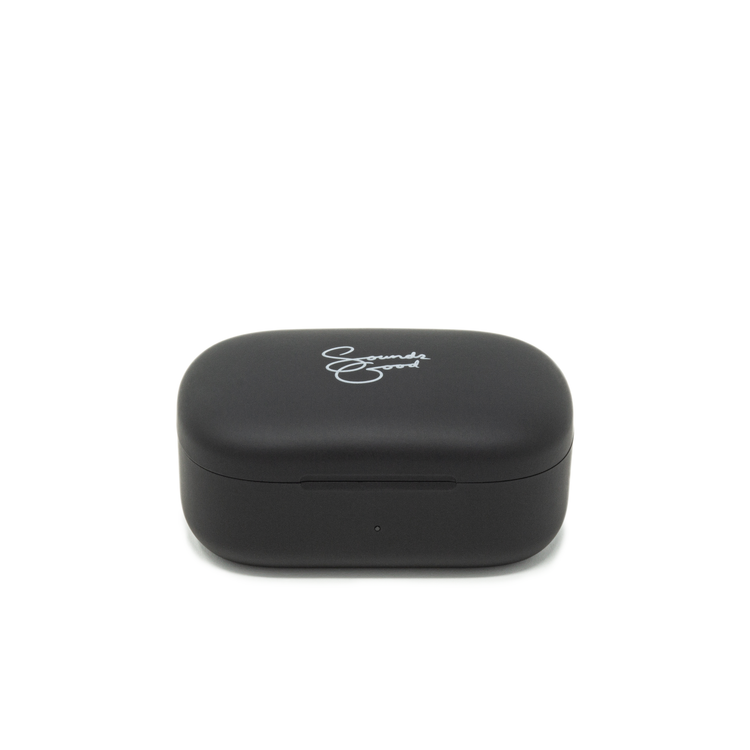 Sounds Good Ultimate V6 case and earbud case